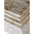 OSB oriented strand board 12mm